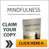 Here's a brief, accessible description of the image:

An advertisement for a book titled "Mindfulness." The cover features a person meditating at sunrise. Text reads "Claim your copy" with a yellow "Click Here" button.